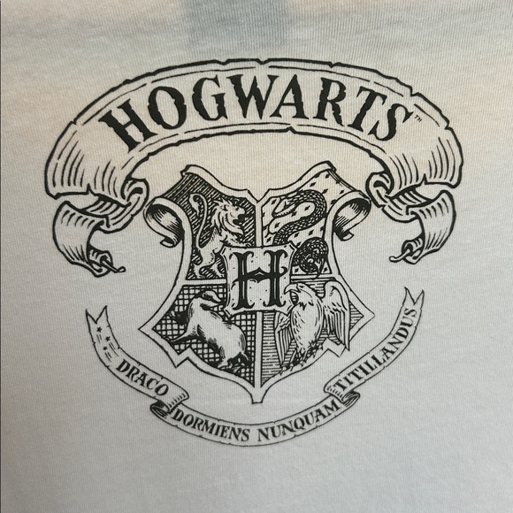 Harry Potter Hufflepuff x Toronto Blue Jays T Shirt Size XL Limited Edition - Picture 10 of 11